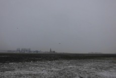 CIMG2005
