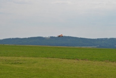 DSC_0230