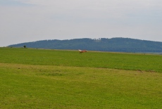DSC_0231