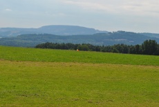 DSC_0252