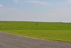 DSC_0254