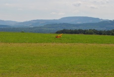 DSC_0306