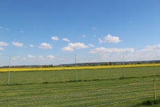 Litomyšl - 7.5.2016