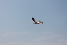 Celostátní setkání Hořice 2013