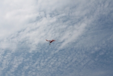 Celostátní setkání Hořice 2013