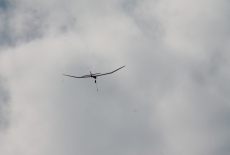 Celostátní setkání Hořice 2013