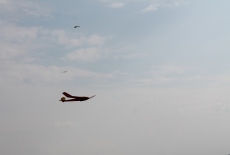 Celostátní setkání Hořice 2013