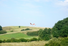 Poštolka Cup 2014