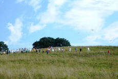 Poštolka Cup 2014