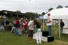 KONICA MINOLTA DIGITAL CAMERA