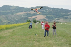 9.ME SAN MARINO 2011