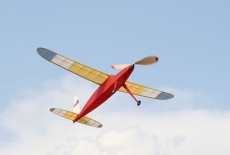 Openscale 2007