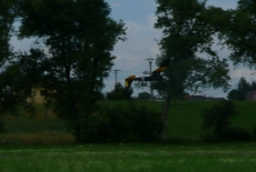 Opavský Kmet 2008