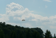 Opavský Kmet 2008