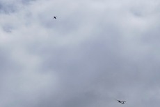 IMG20230513114624