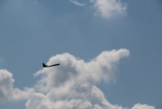 IMG_3610