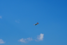 P8080033